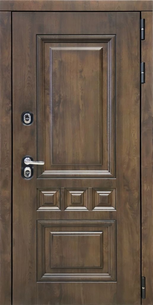 Входная дверь ДвериПРО Аура Фараон-2 (16мм, мореный дуб) DPRO196879 внешняя сторона